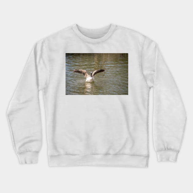 Canada goose with stretched wings Crewneck Sweatshirt by Russell102